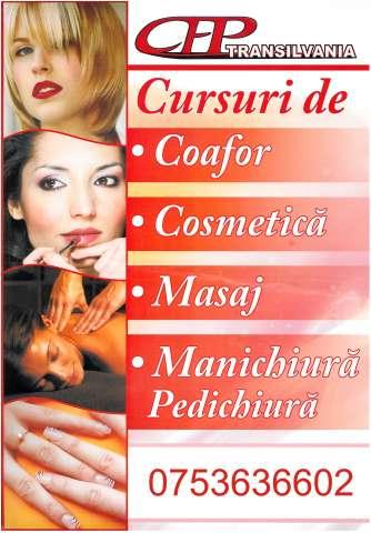 Cursuri De Manichiura Pedichiura Unghii Tehnice Alba Iulia 209
